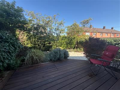 Picture 25